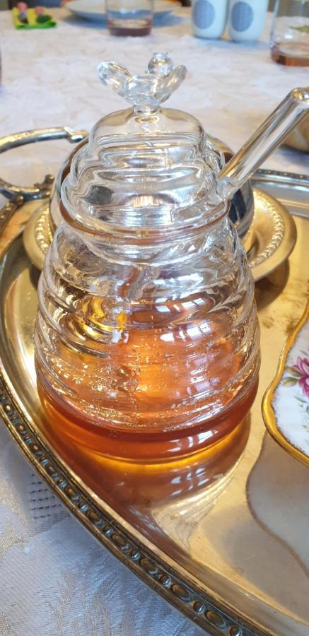 مبيت وإفطار Saint-Saturnin  La Tour Noble المظهر الخارجي الصورة